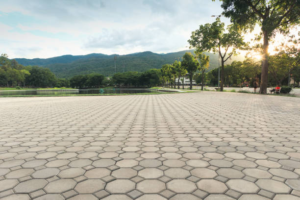 Best Affordable Driveway Pavers  in Raleigh, NC
