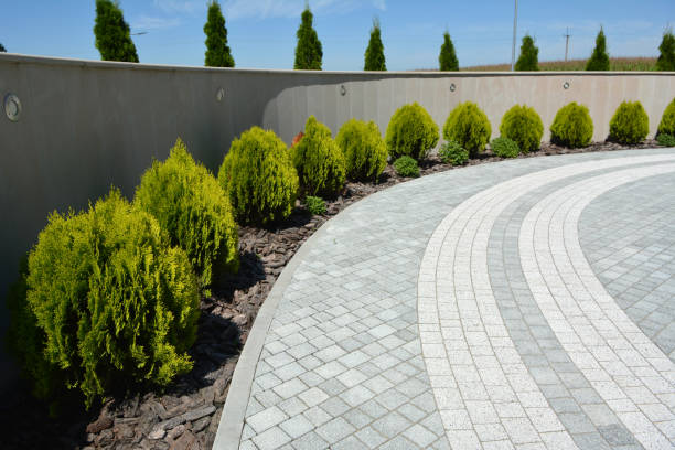 Best Brick Driveway Pavers  in Raleigh, NC